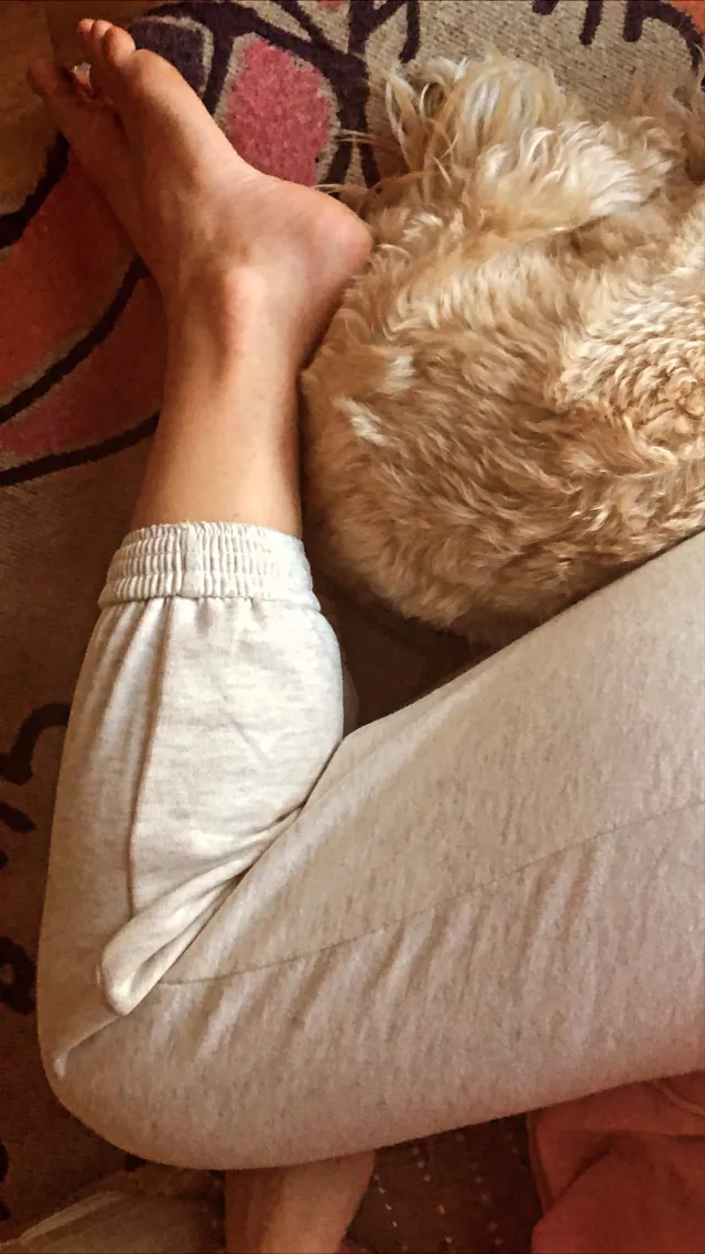 Alice Eve resting a bare foot beside a dog.