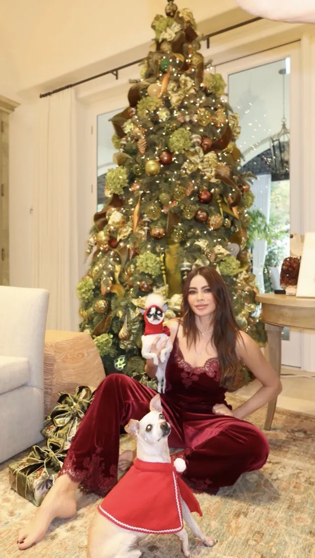 Sofía Vergara sitting barefoot beside a decorated Christmas tree and a dog.