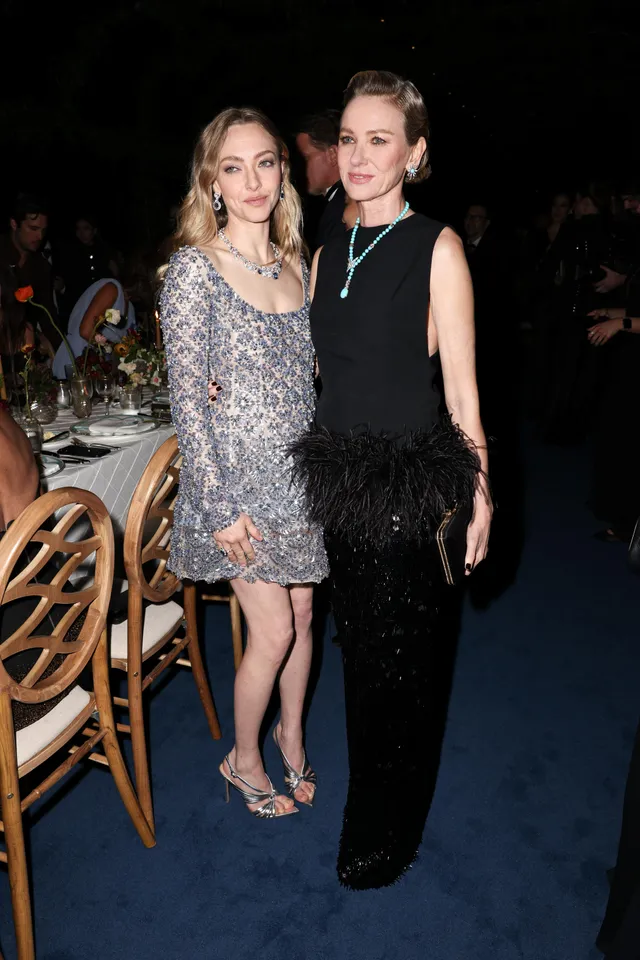 Amanda Seyfried posing beside another guest in a sparkling dress and heels.
