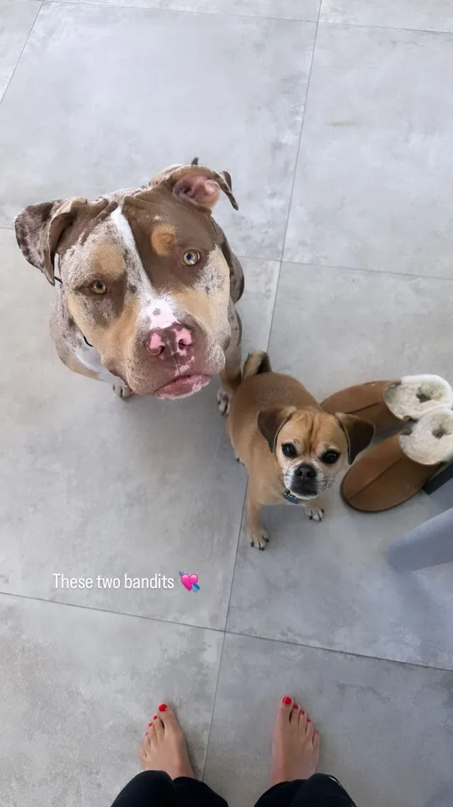 Nina Agdal standing barefoot beside two dogs on a tiled floor.