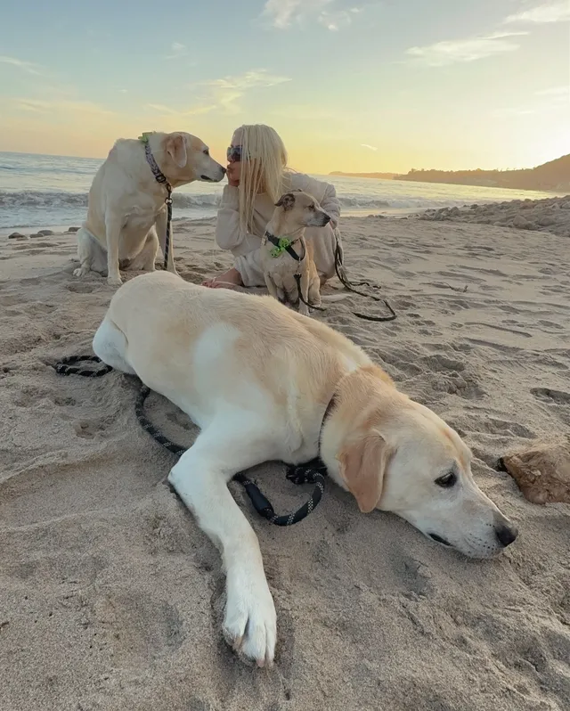 Christina Aguilera sitting barefoot on a beach beside dogs.