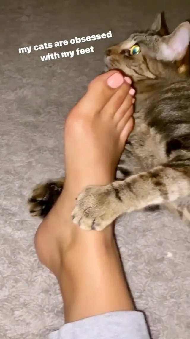 Emily Tosta showing her bare foot beside a cat.
