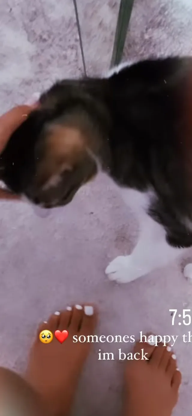 Emily Tosta sitting barefoot beside a cat.
