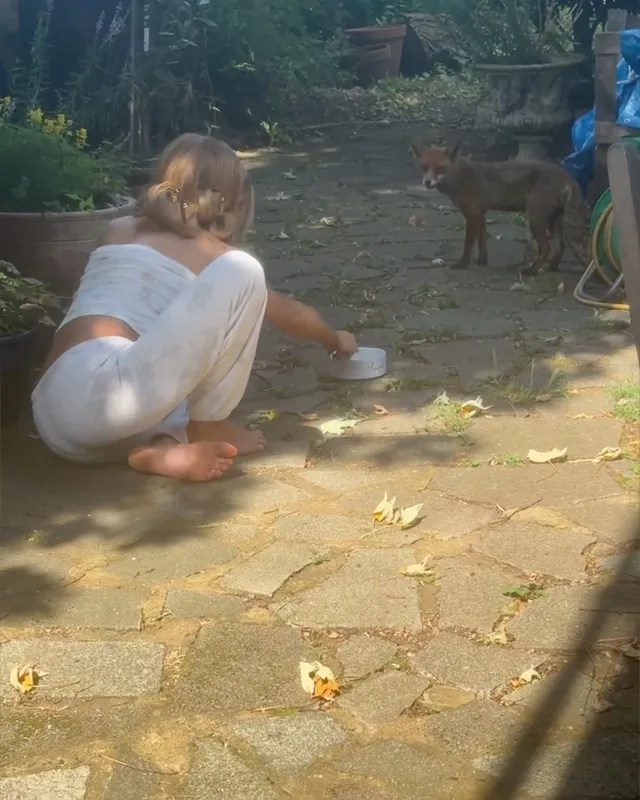 Kate Beckinsale crouching barefoot outdoors beside animals in a screen image.