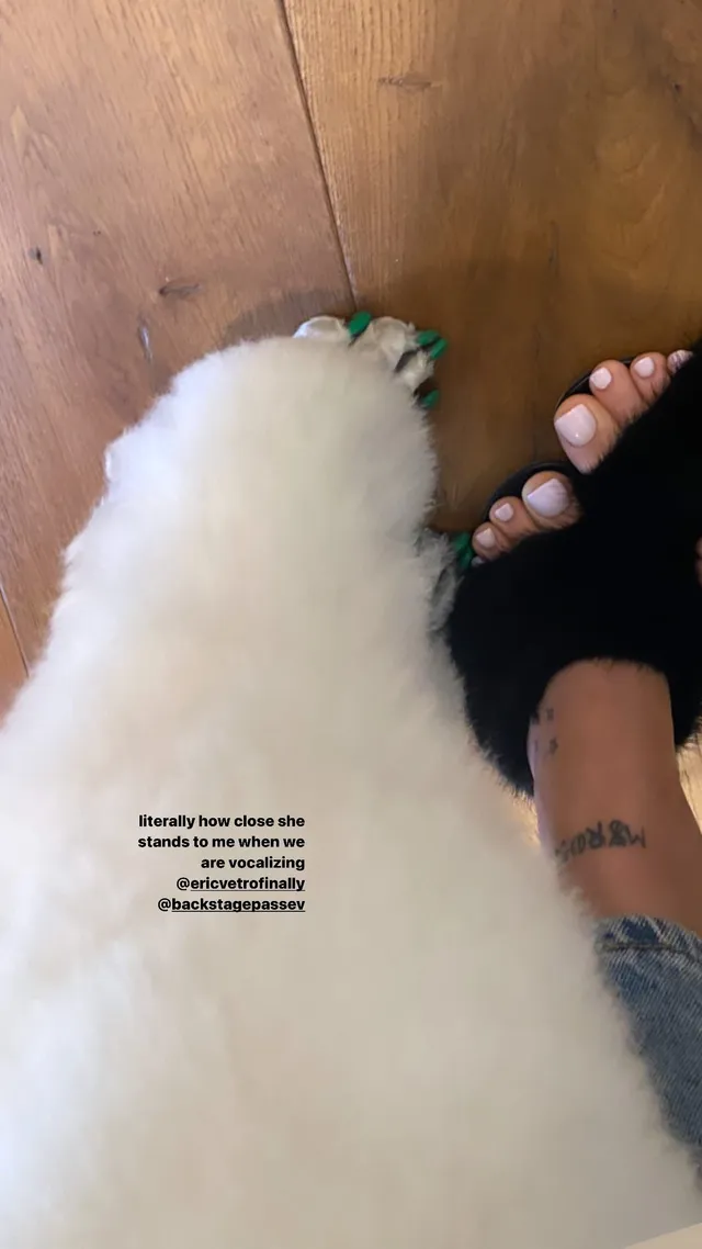 Ariana Grande: close view of a foot in a dark open-toe slipper beside a white dog.