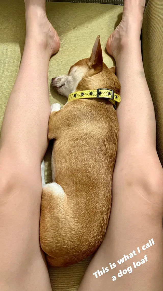 Willa Fitzgerald resting her bare feet beside a dog.