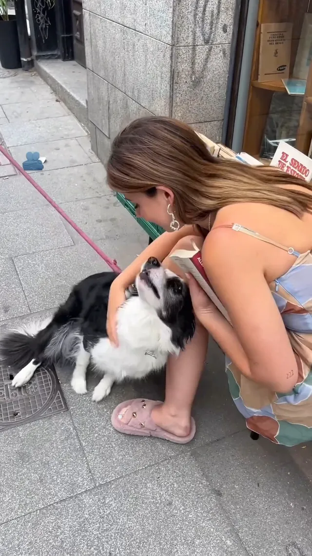 Nicole Wallace crouching beside a dog in a pale dress and pink flat shoes.