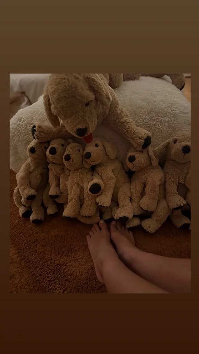 Irina Shayk sitting beside a collection of plush bears indoors.