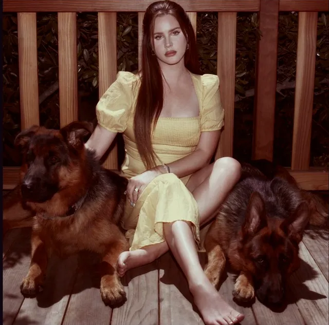 Lana Del Rey sitting barefoot in a yellow dress beside dogs.