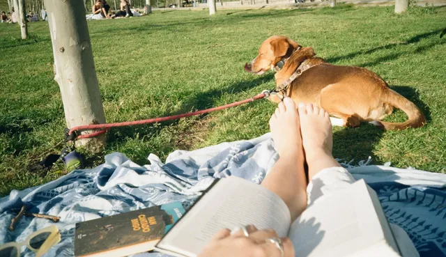 Nicole Wallace reclining barefoot on a picnic blanket beside a dog.