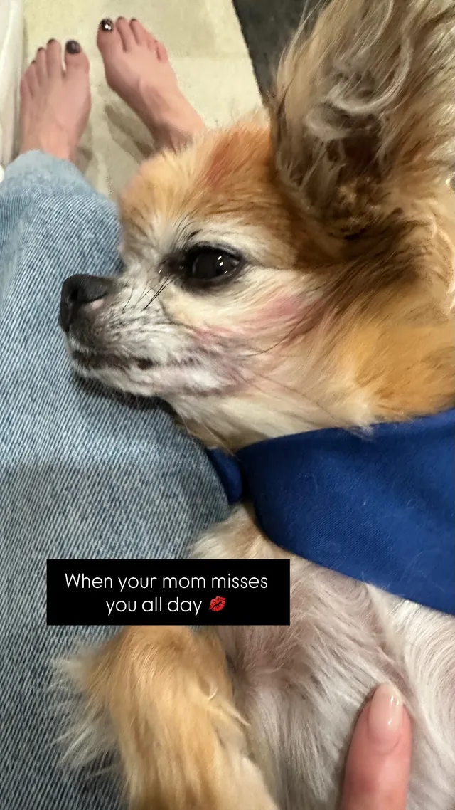 Melissa Barrera resting her bare feet near a small dog.