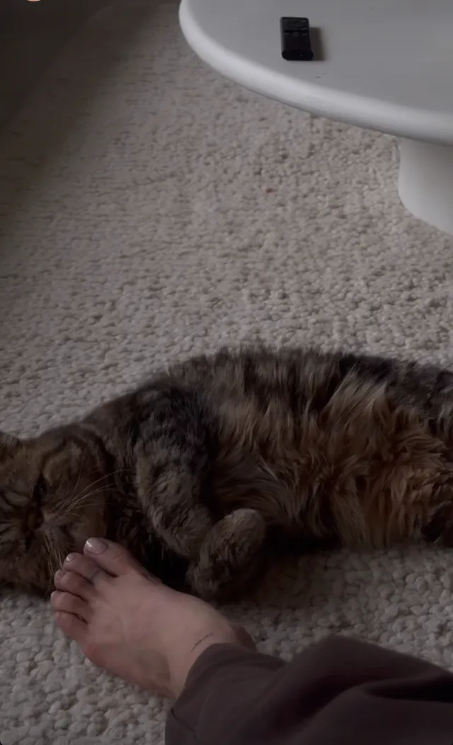 María Pedraza shown with a bare foot beside a cat on a carpet.