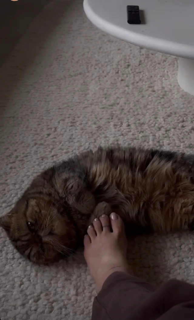 María Pedraza shown resting a bare foot beside a cat on a carpet.
