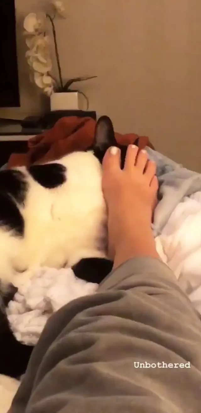 Adelaide Kane a casual view of bare feet beside a cat.