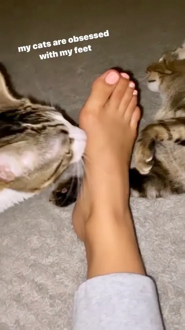 Emily Tosta resting her bare foot beside a cat.