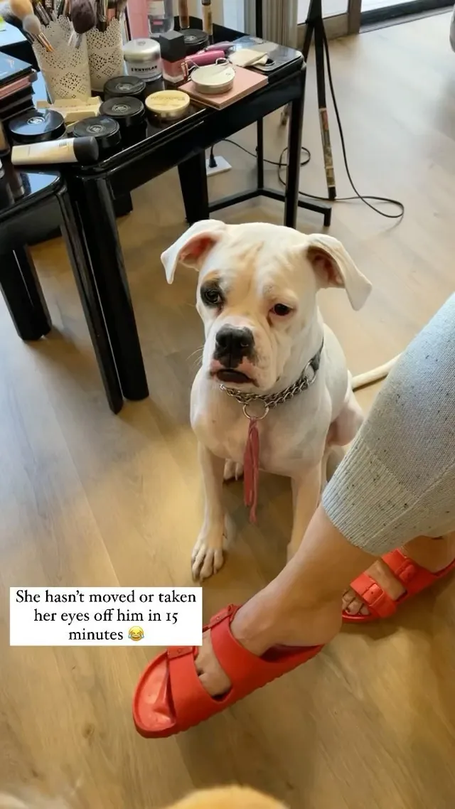 Melissa Barrera wearing red slide sandals beside a dog.