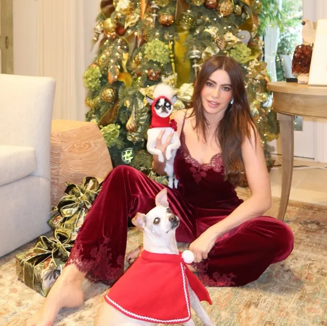 Sofía Vergara sitting barefoot beside a Christmas tree and a dog.