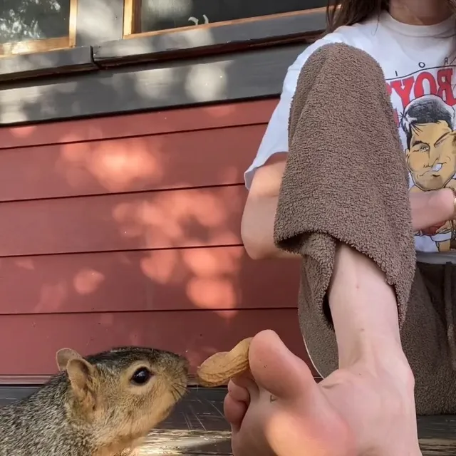 Sarah Pidgeon sitting outside with bare feet near a small animal.