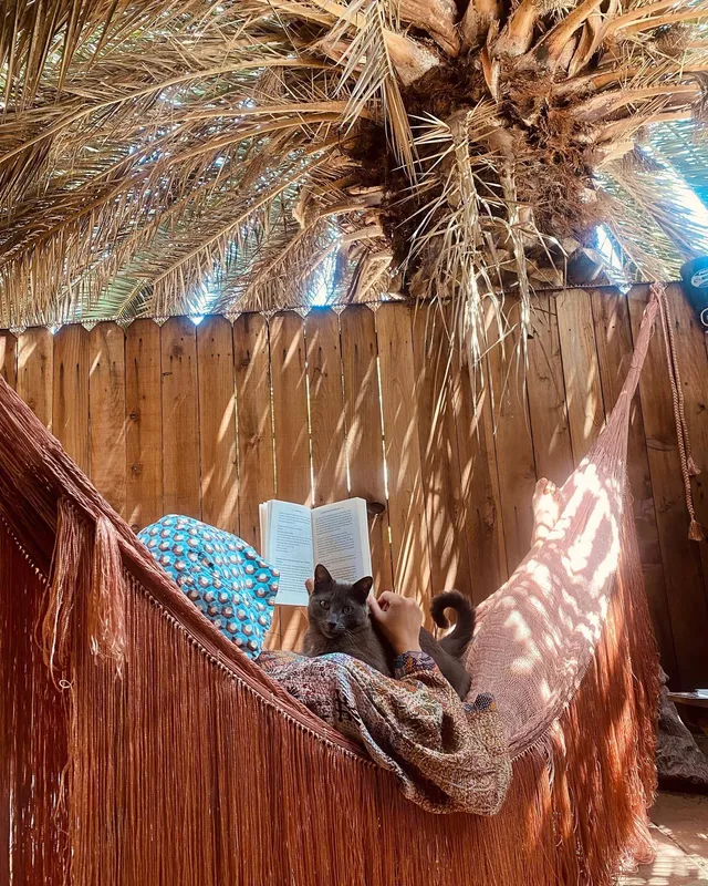 María Gabriela de Faría reading barefoot in a hammock beside a cat.