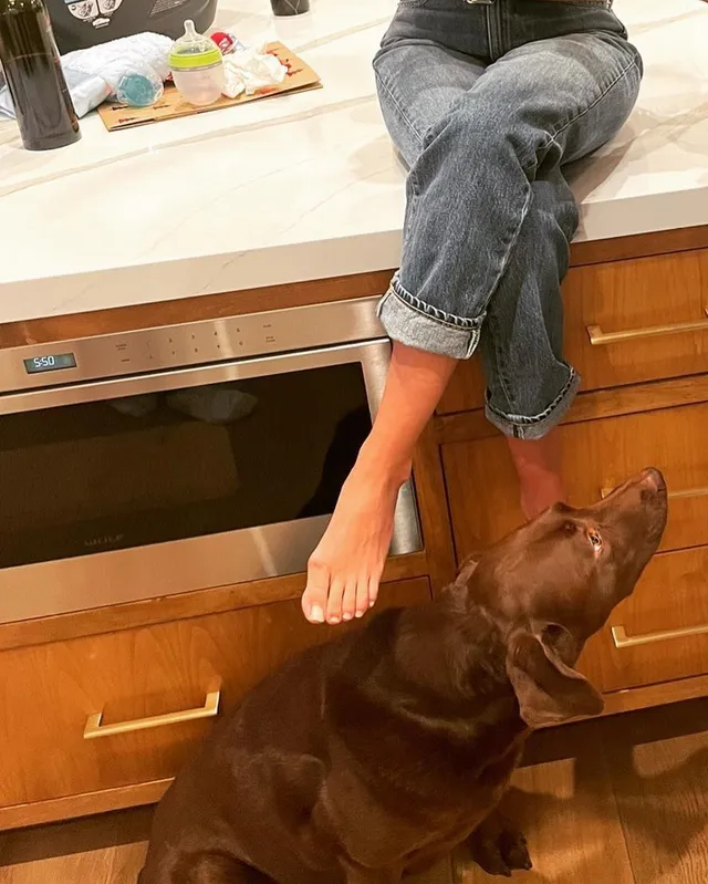 Sarah Hyland sitting on a kitchen counter beside a dog.