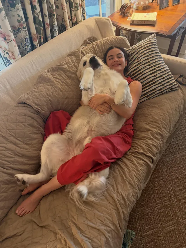 Lucy Hale resting in an armchair with a dog.