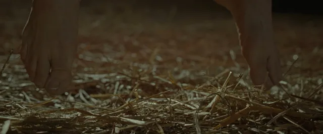 Amanda Seyfried standing barefoot on straw in a screen image.