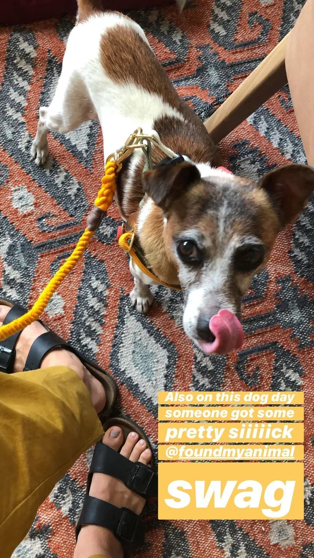 Willa Fitzgerald wearing black flat sandals beside a dog.