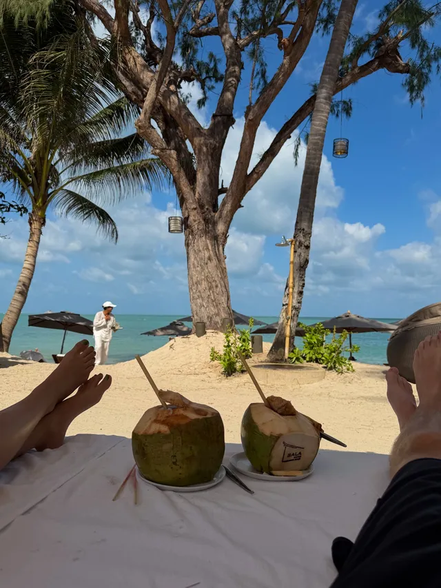 Victoria Justice resting barefoot beside a beach with coconuts.