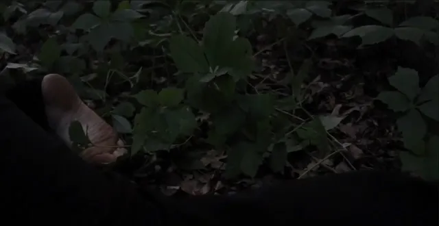 Victoria Pedretti a close-up of bare feet on leaves during a screen scene.
