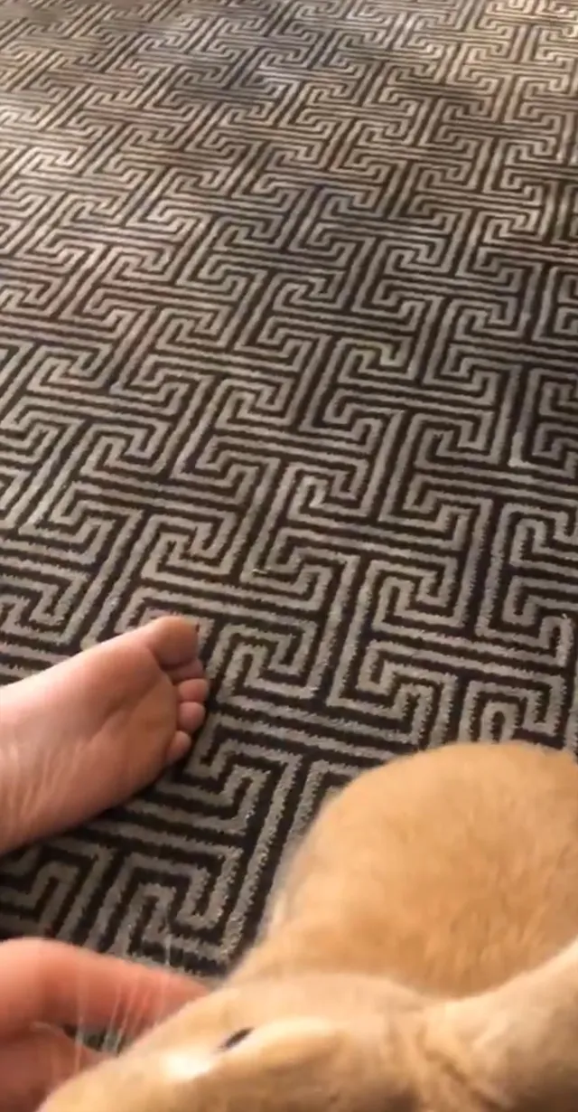 Kaley Cuoco resting a bare foot on patterned carpet beside a dog.