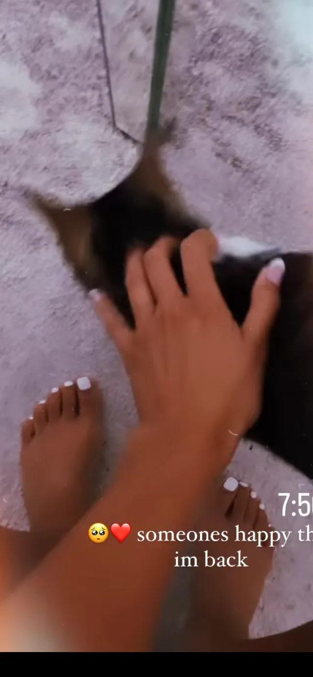 Emily Tosta petting a cat beside her bare feet.