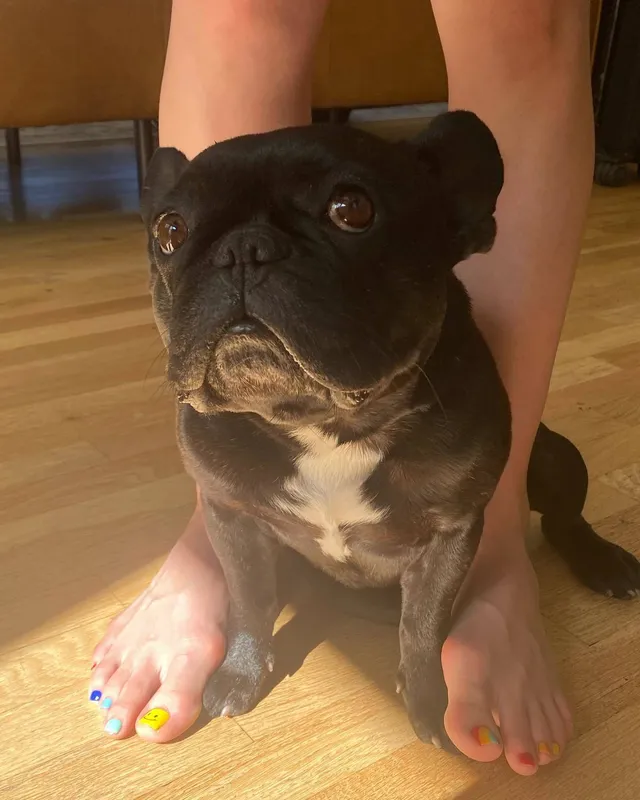 Chloë Grace Moretz standing barefoot behind a small black dog.